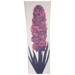 Planche Snowboard Oxbow Hyacinth -Vente Matériel De Ski 1a01dca6ca5dc409449325a9ec3c5899999d735f H23OXBOBOA261209 OXBO0044308 905