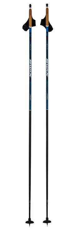 Bâton Fond Swix Dynamic D2