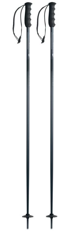 Bâton Nordica Alpine Ti